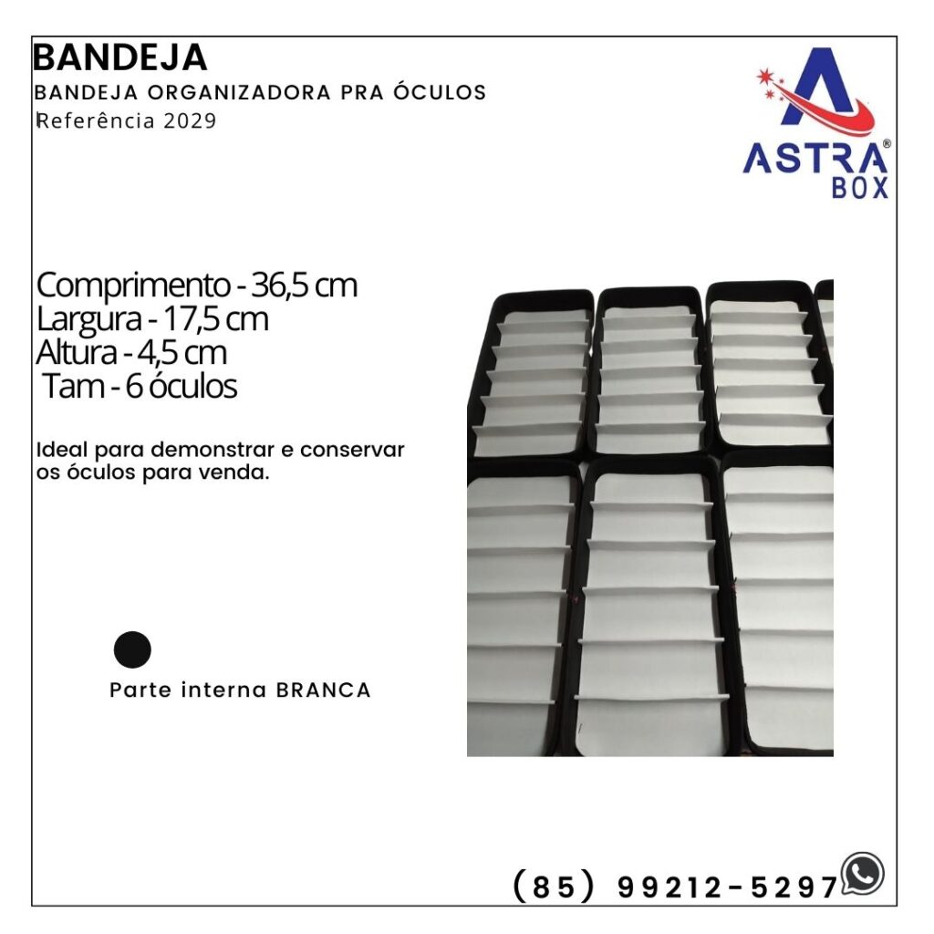 Ref.2029-Bandeja-organizadora.jpg